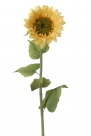 Sunflower spray