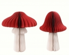 Mushroom paper ass.2