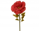 Rose spray xl
