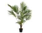 Palmtree in pot