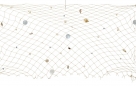 Fishnet