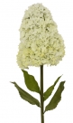 Hydrangea spray xl