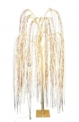 Birch led hang