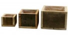 Box wood square