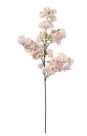 Cherry blossom spray