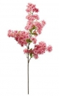 Cherry blossom spray