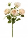 Rose x5 pick