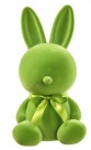 Rabbit sitting