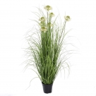 Grass w.flower pot