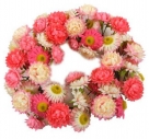 Strawflower wreath