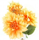 Dahlia x3 bouquet
