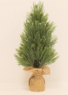 Pine tree virginia