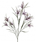 Spider lily spray x3