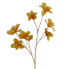 Bauhinia spray x3