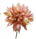 Dahlia spray