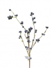 Blue berry twig