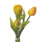Tulip pick x4
