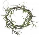 Wreath twig