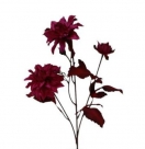 Dahlia spray x3