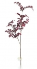 Leaf spray w/berries