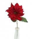 Poinsettia spray