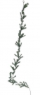 Garland pine w/ice