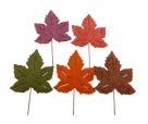 Leaf felt