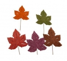 Leaf felt