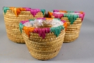 Basket hyacinth rd