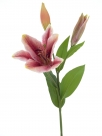 Tiger lily spray