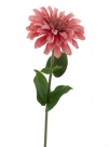 Zinnia spray