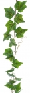 Ivy garland
