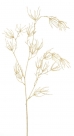 Wild twig spray