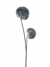 Allium spray bor