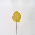 Philo leaf velvet