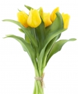 Tulip vermeer sally