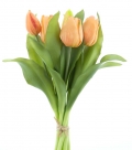 Tulip vermeer sally