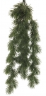 Needle pine bush