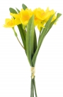 Narcissus bundle