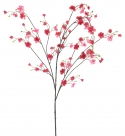 New blossom tokyo