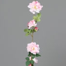 Rose garland x6