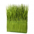 Grass-room devider
