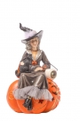 Witch on pumpkin