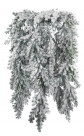 Pine hanger snowy