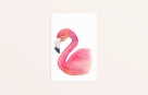 Kaart flamingo