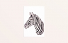 Kaart zebra