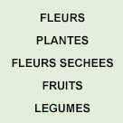 Fleurs & plantes