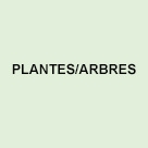 Plantes/arbres