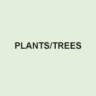 Plants/trees