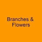Branches - flowers